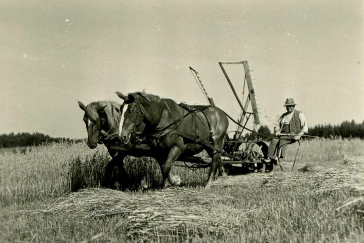 K640_img288